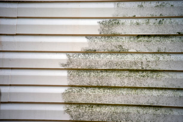 Best Carpet Removal and Disposal  in San Bernardino, CA